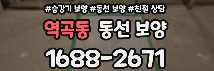 역곡동 동선 보양