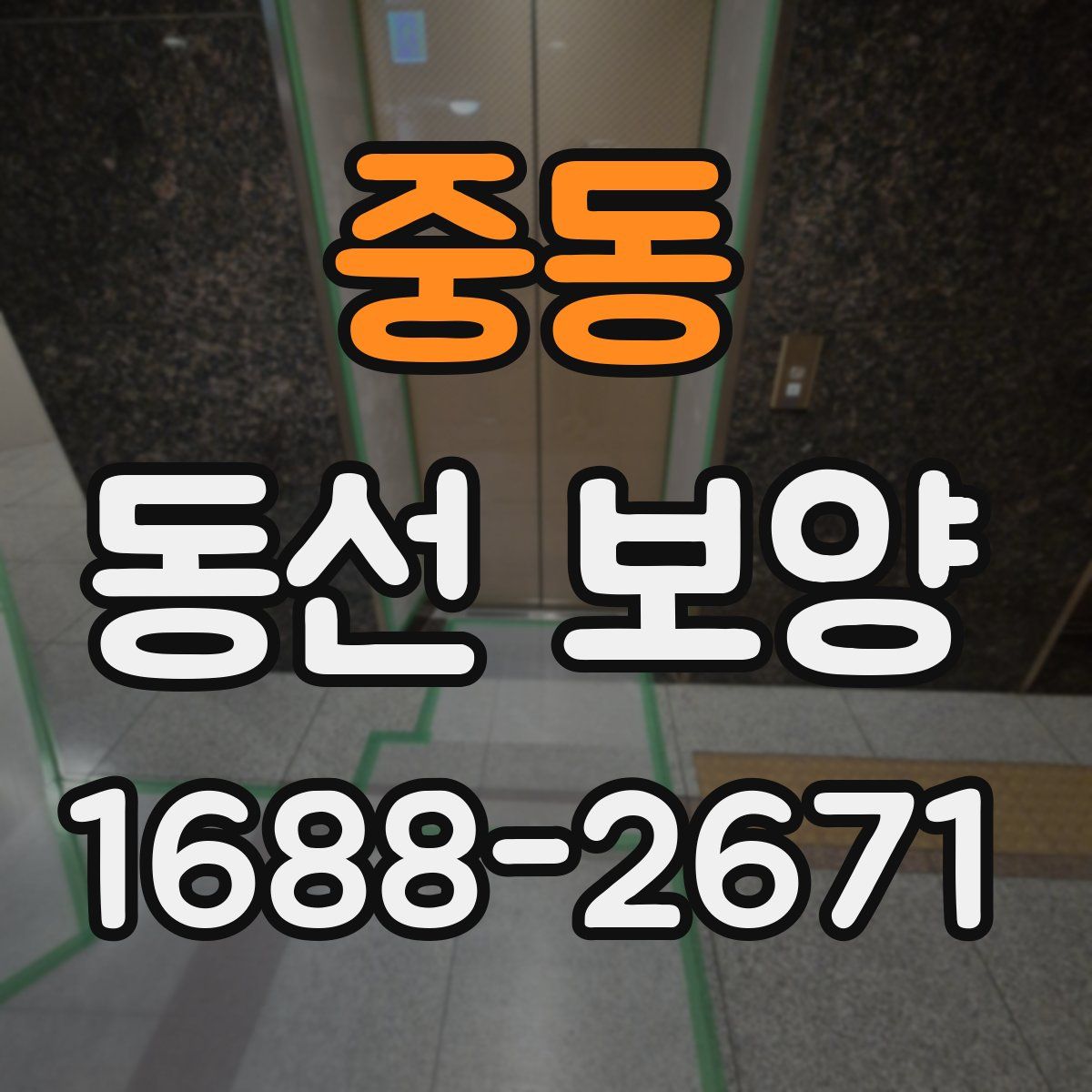중동 동선 보양