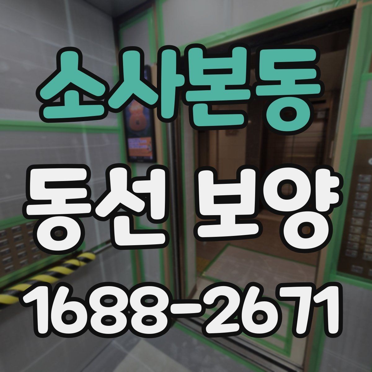 소사본동 동선 보양 현장에 맞는 일정 조율 방법