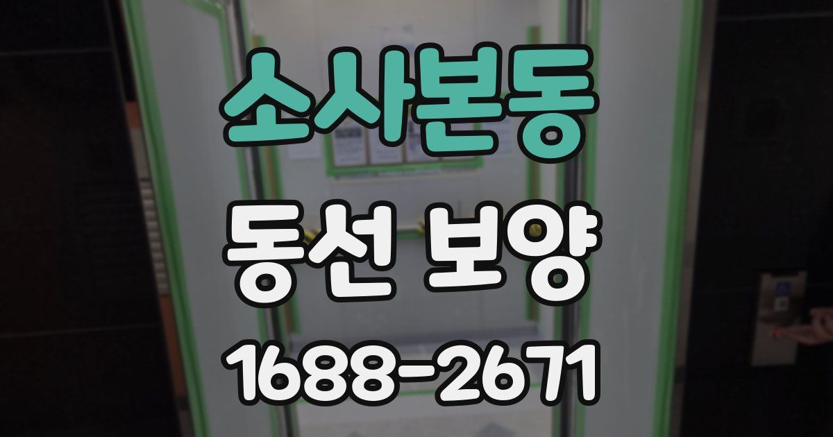 소사본동 동선 보양