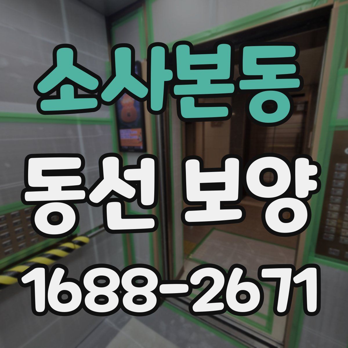 소사본동 동선 보양