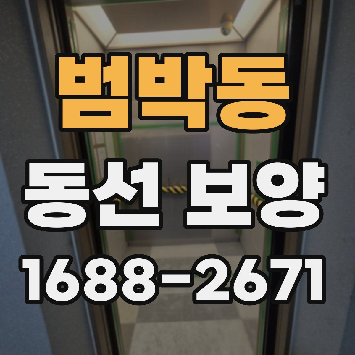 범박동 동선 보양