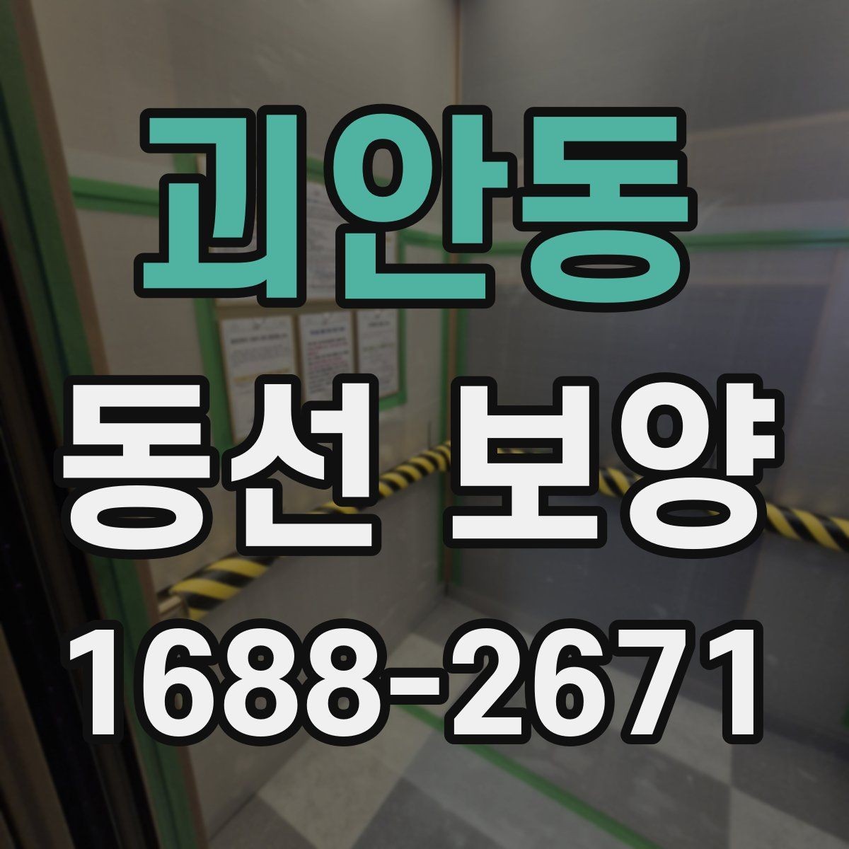 괴안동 동선 보양 후 보수와 관리가 필요한 경우