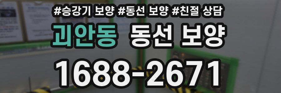 괴안동 동선 보양