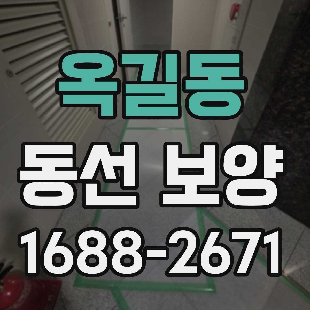 옥길동 동선 보양 공정이 필요한 이유 살펴보기