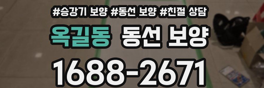 옥길동 동선 보양