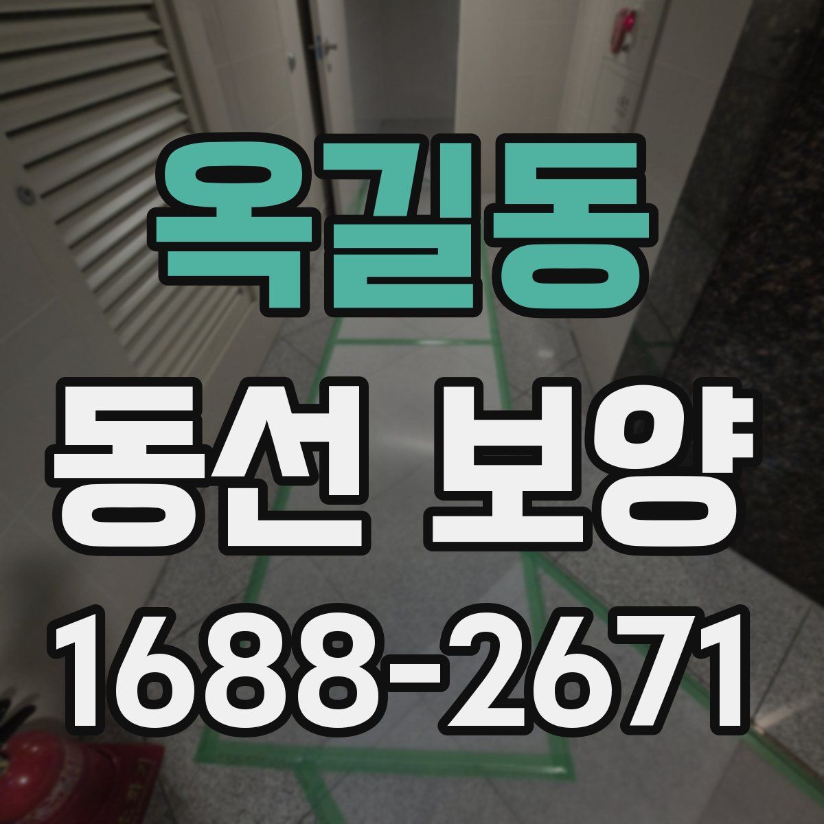 옥길동 동선 보양