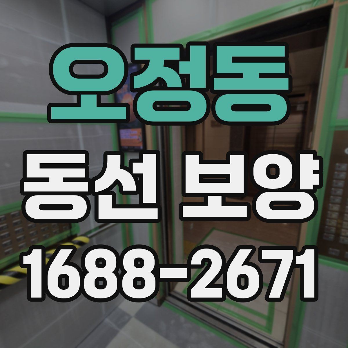 오정동 동선 보양 현장에서 주의할 점 정리