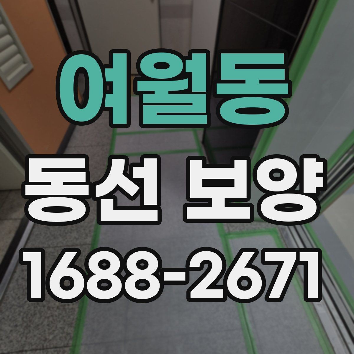 여월동 동선 보양 선택 시 품질과 비용을 함께 보는 법