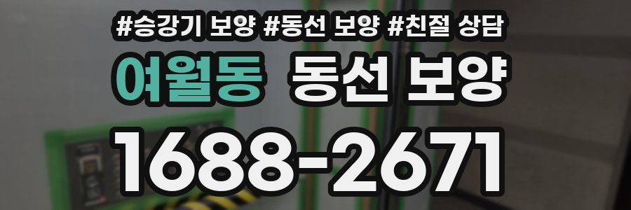 여월동 동선 보양