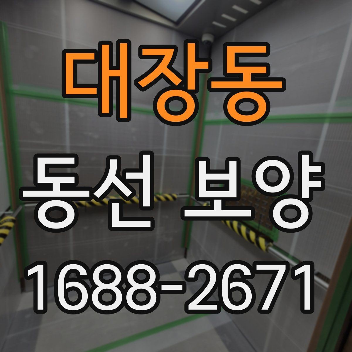 대장동 동선 보양 현장에서 주의할 점 정리