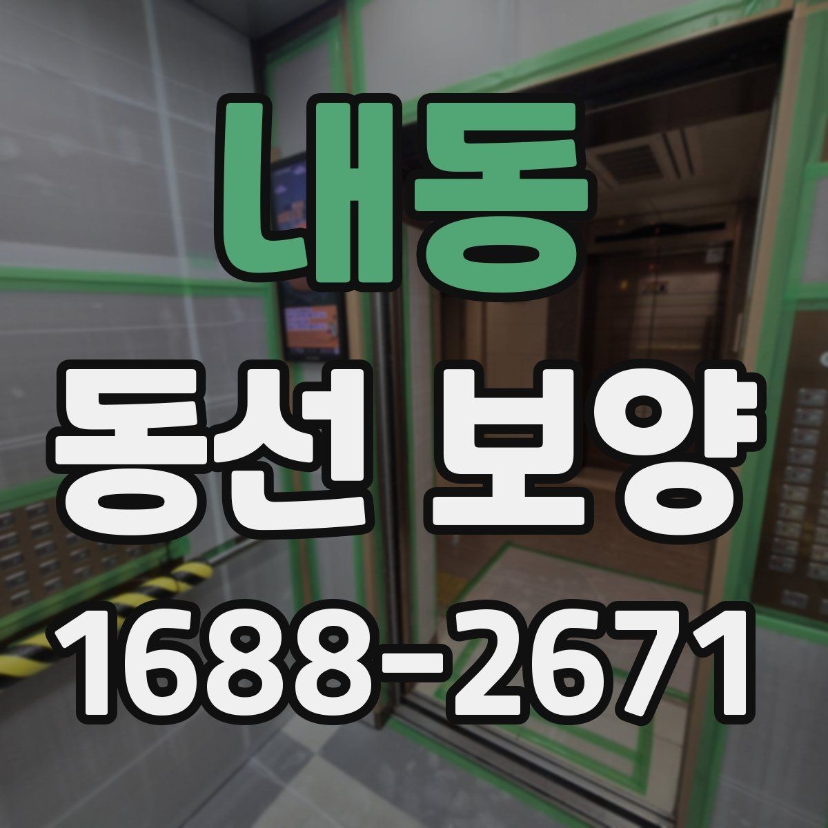 내동 동선 보양 작업 후 유지 관리 팁