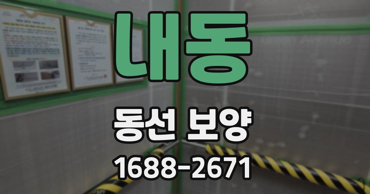 내동 동선 보양