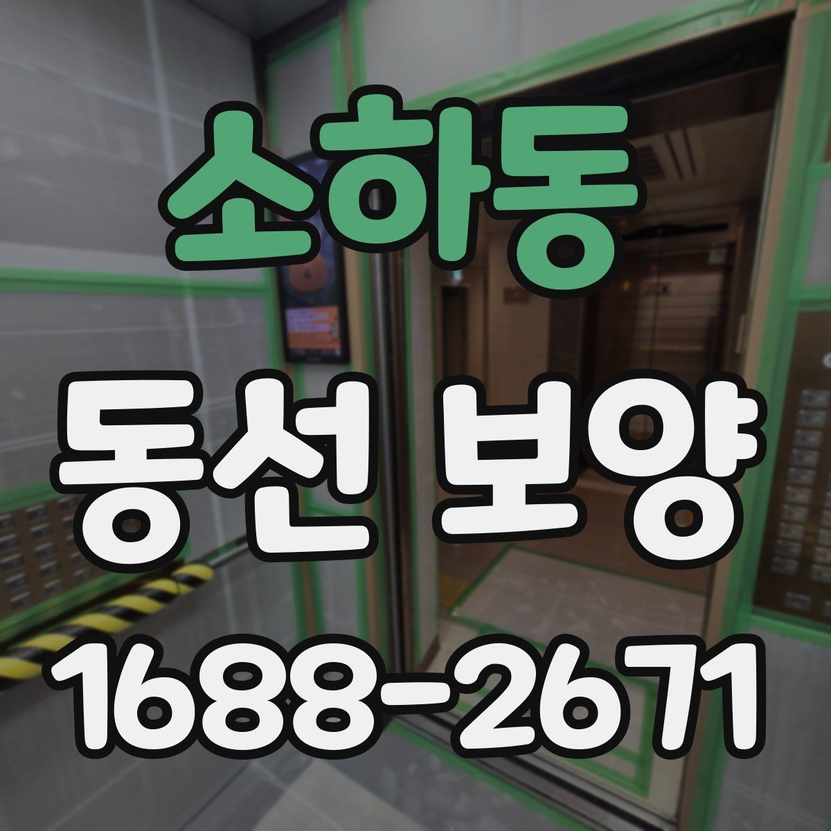 소하동 동선 보양 작업이 필요한 이유와 진행 순서