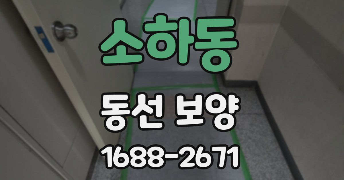 소하동 동선 보양