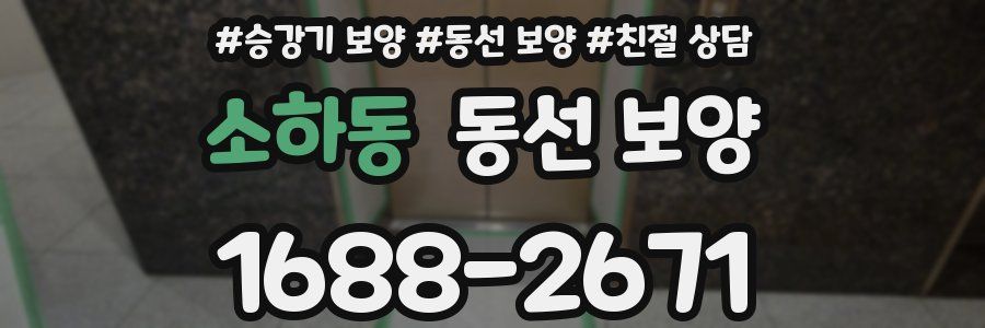소하동 동선 보양