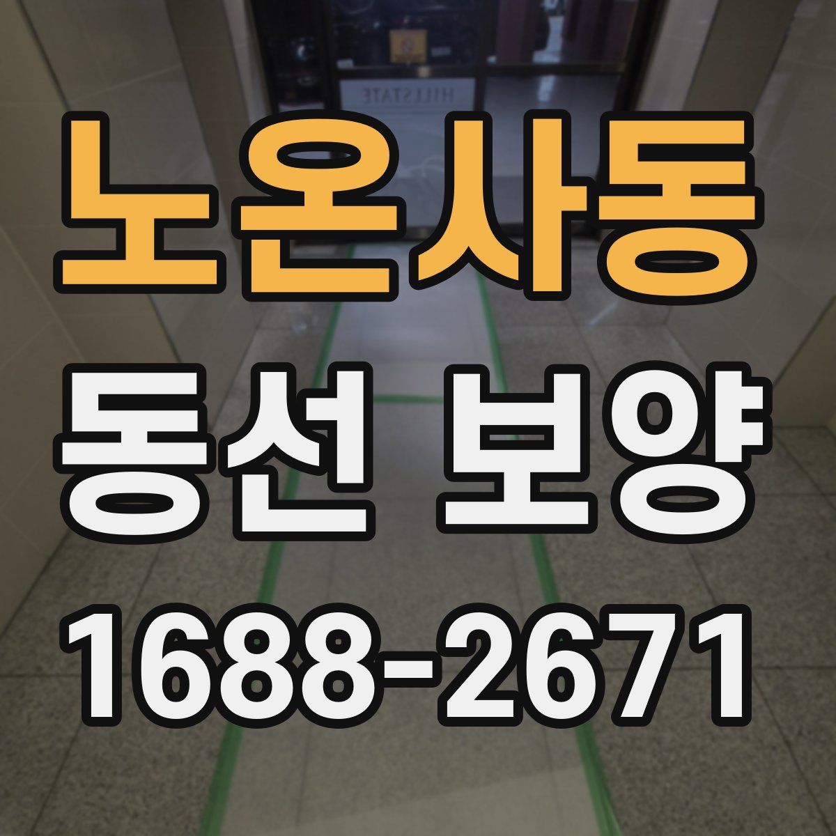 노온사동 동선 보양