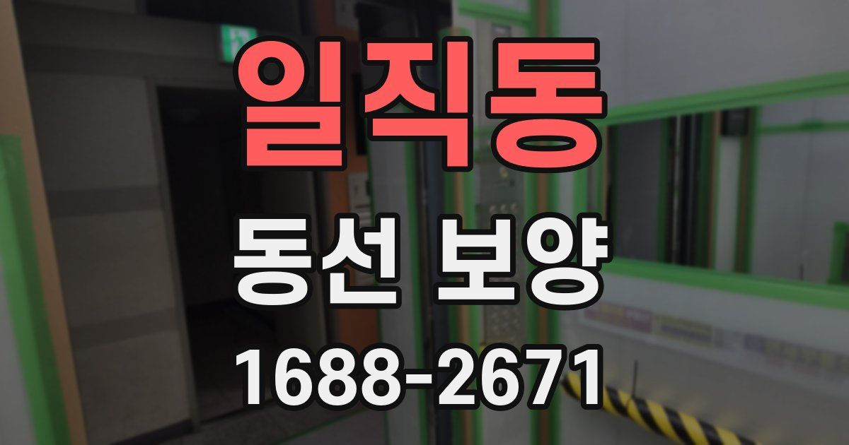 일직동 동선 보양