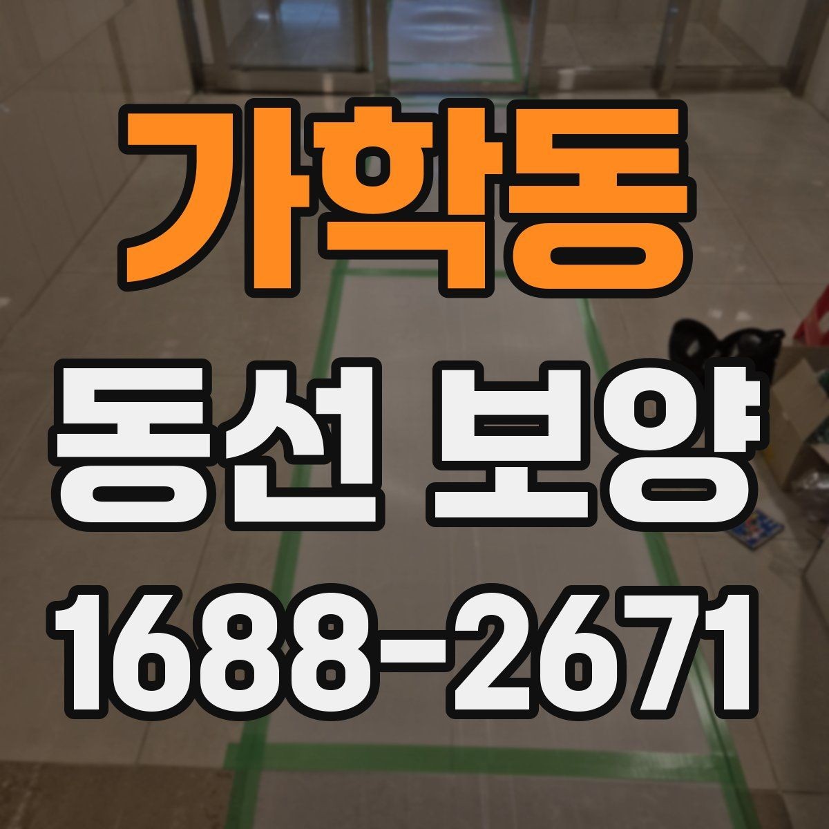 가학동 동선 보양 전 점검해야 할 하자와 위험 요소