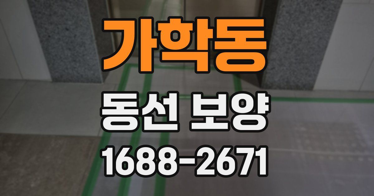 가학동 동선 보양