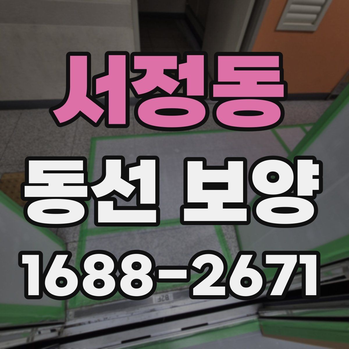 서정동 동선 보양 계획을 세울 때 고려할 요소