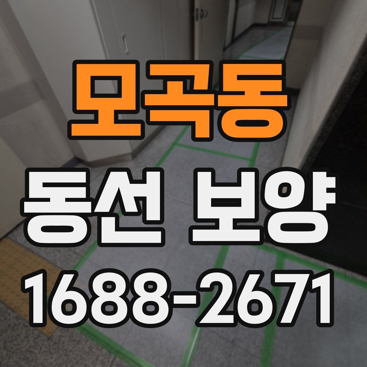 모곡동 동선 보양 작업의 품질을 판단하는 기준