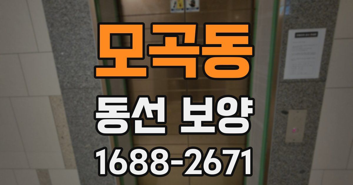 모곡동 동선 보양