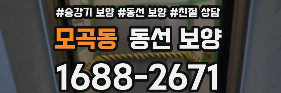 모곡동 동선 보양