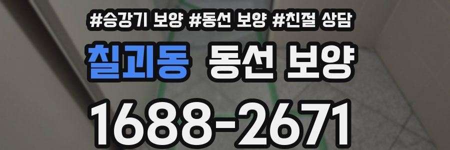 칠괴동 동선 보양
