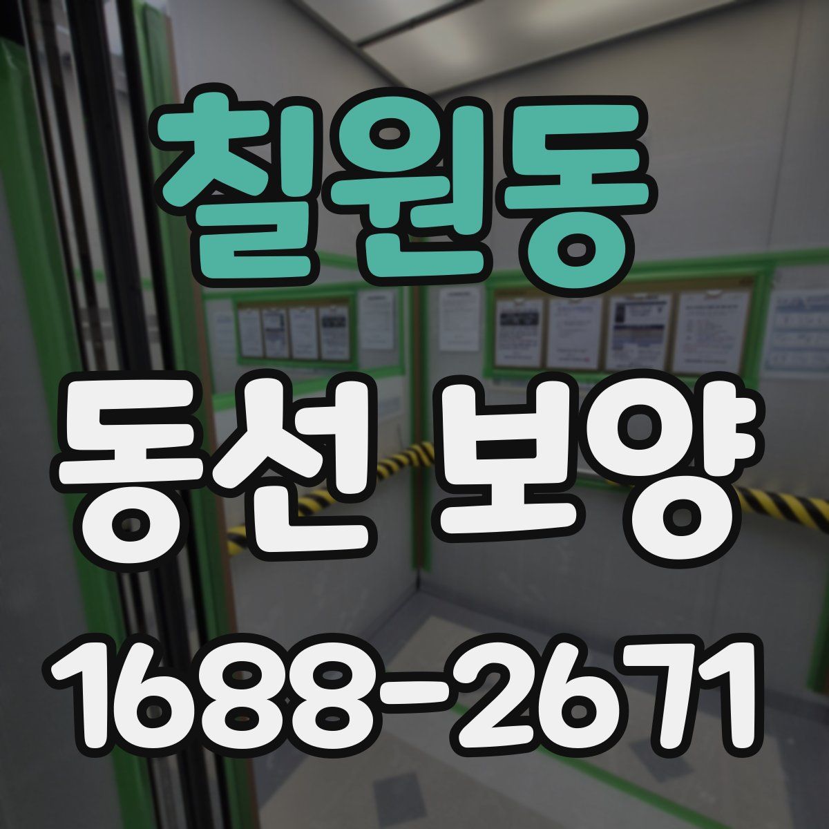 칠원동 동선 보양
