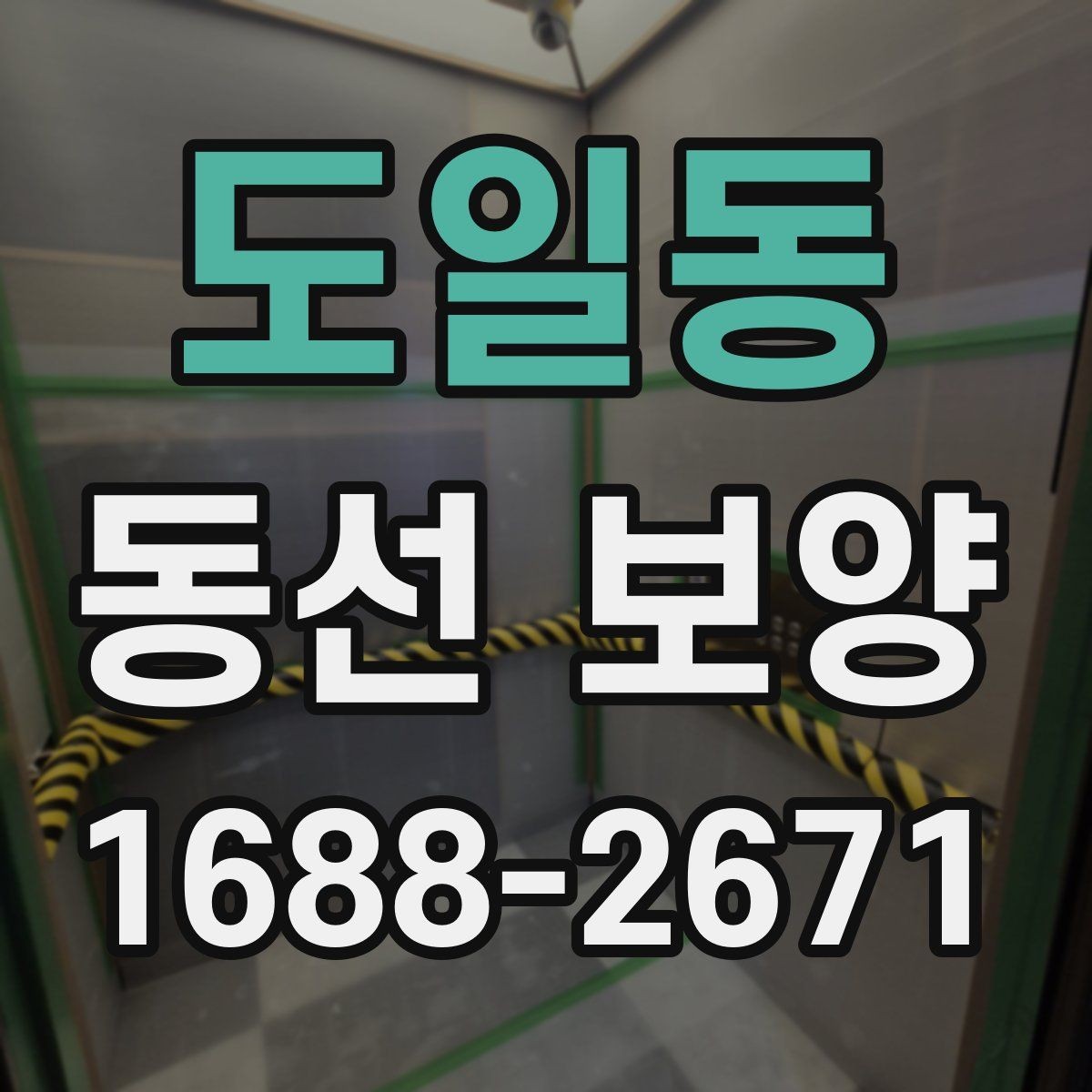 도일동 동선 보양 비용을 줄이기 위한 선택 기준