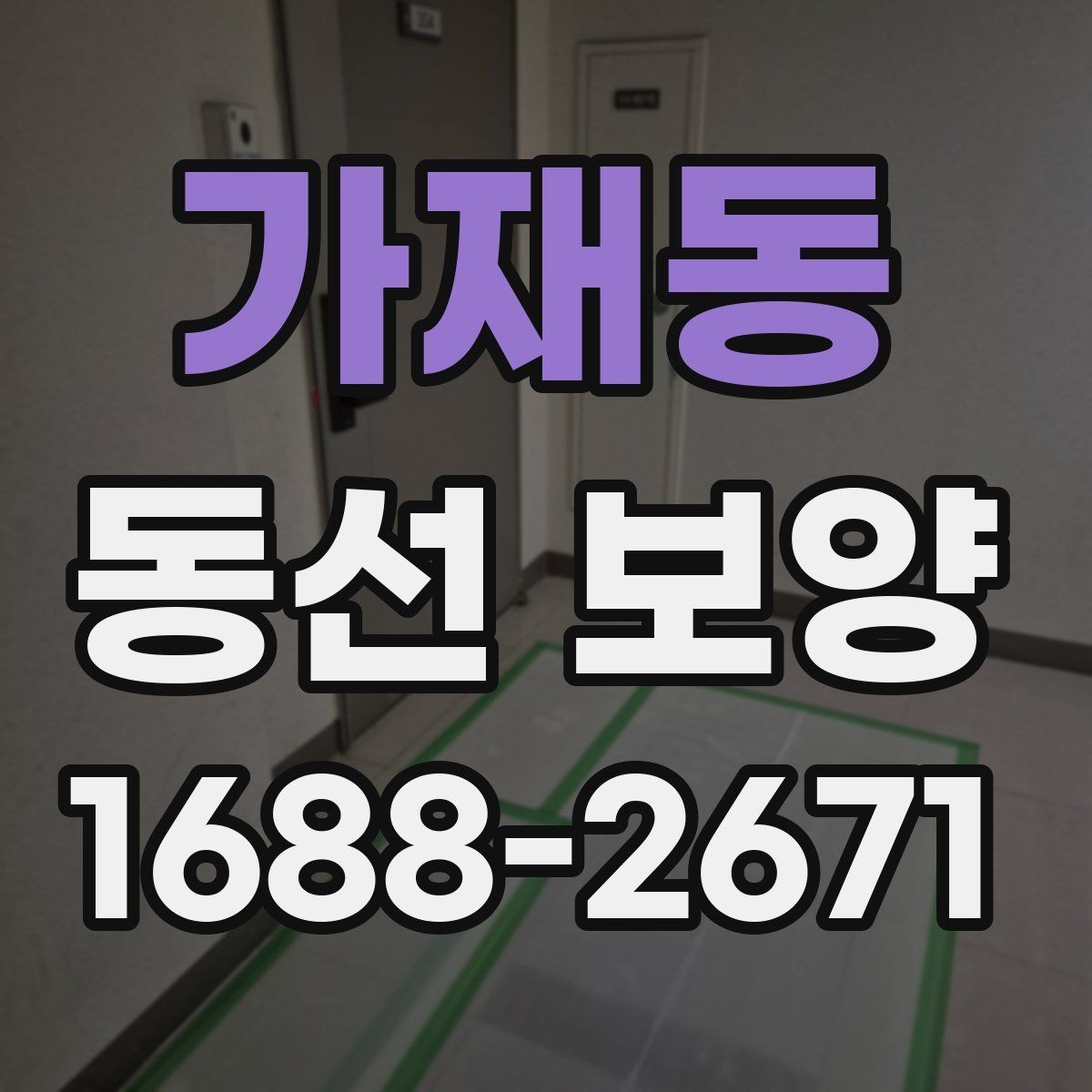 가재동 동선 보양 업체를 고를 때 살펴볼 기준
