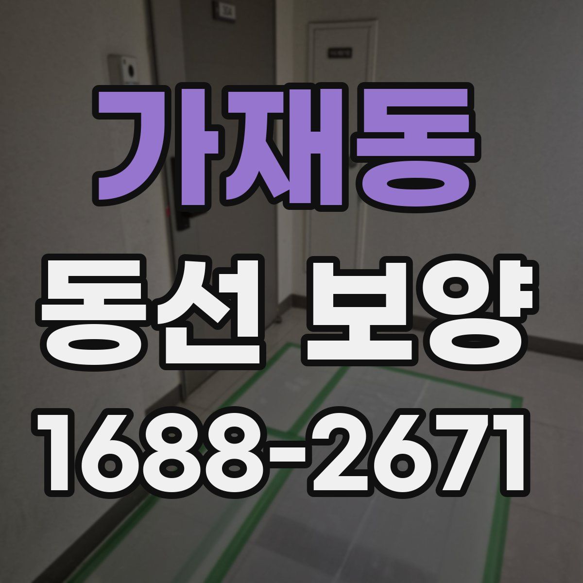 가재동 동선 보양