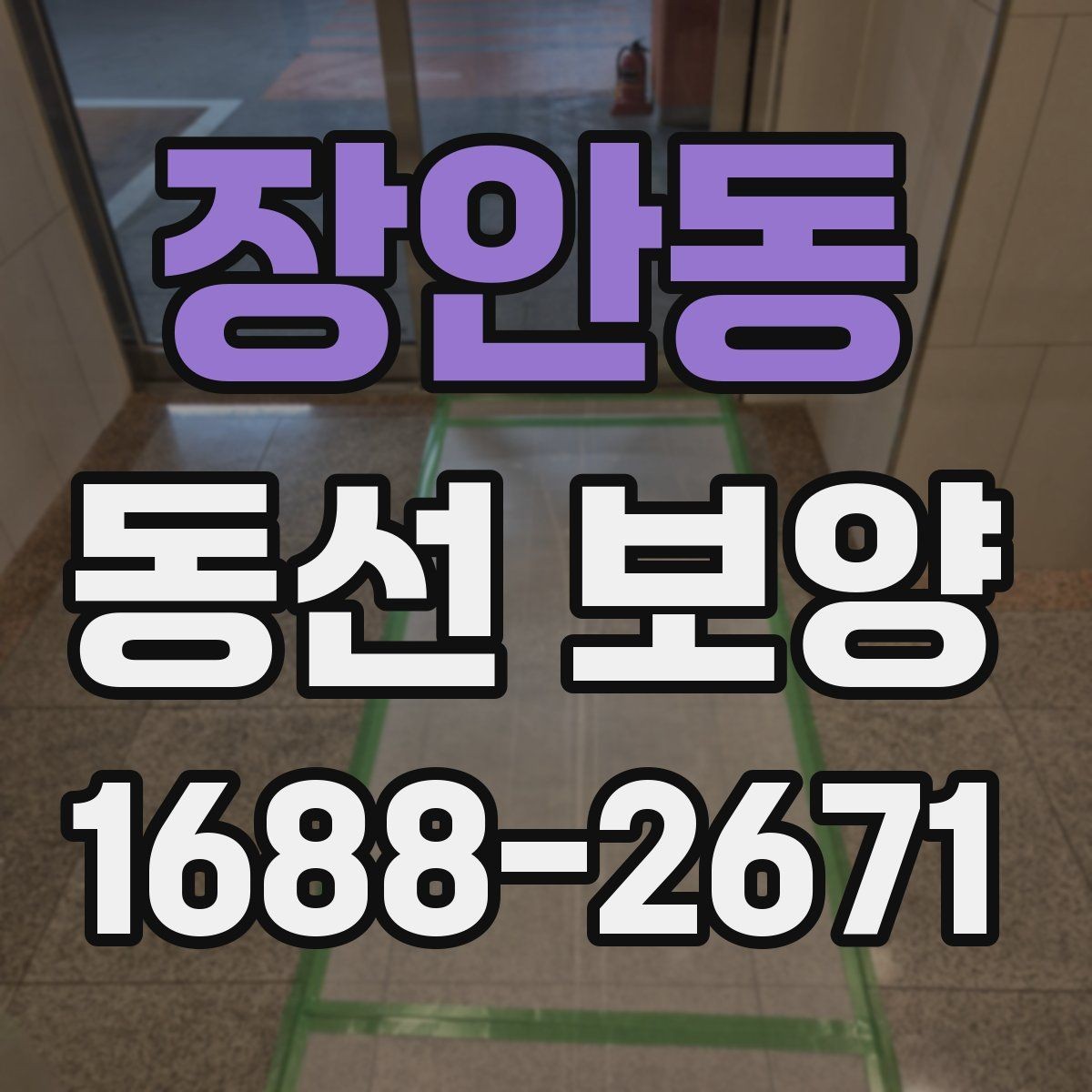 장안동 동선 보양 업체 상담 전에 알아두면 좋은 점