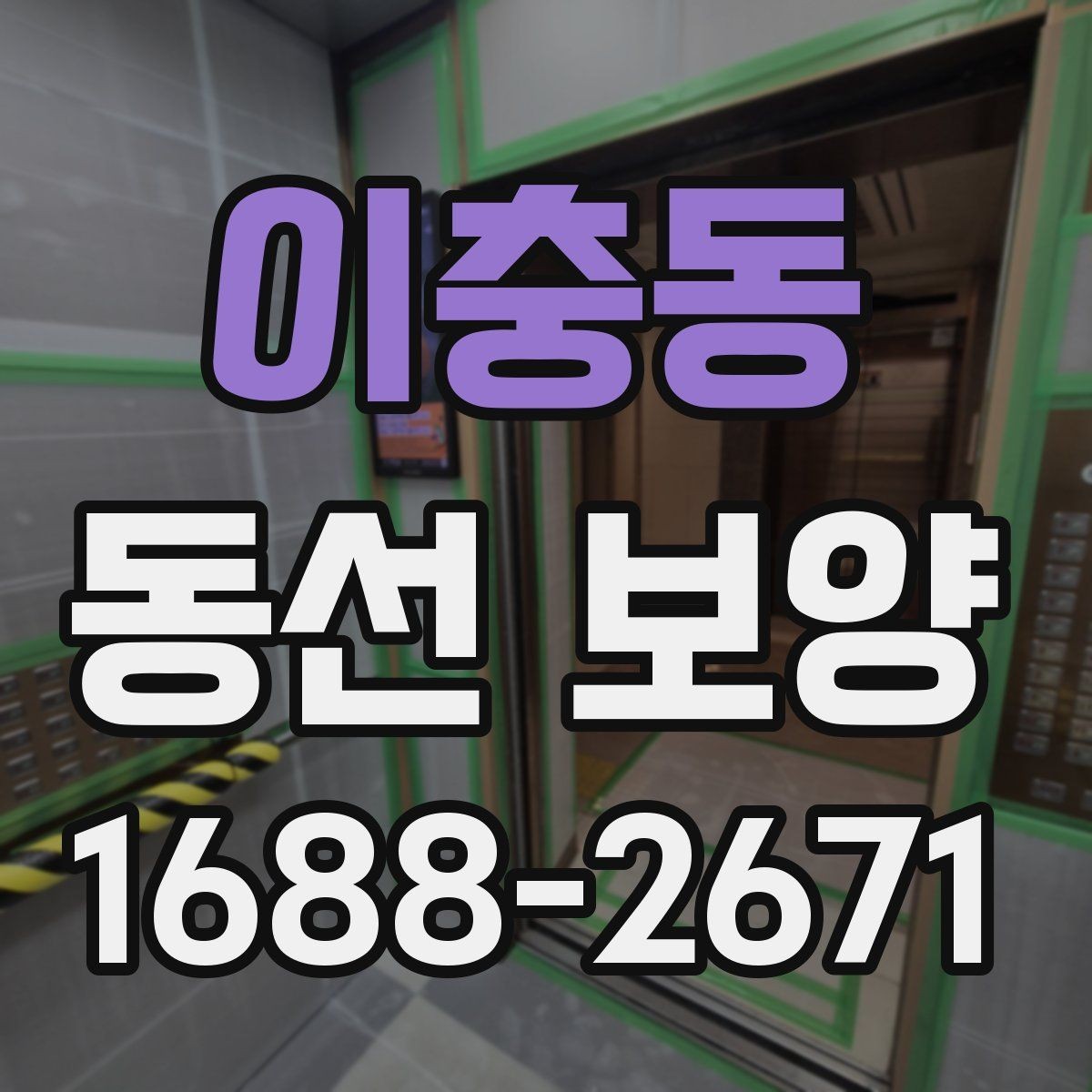 이충동 동선 보양 자재 판단 기준과 활용법