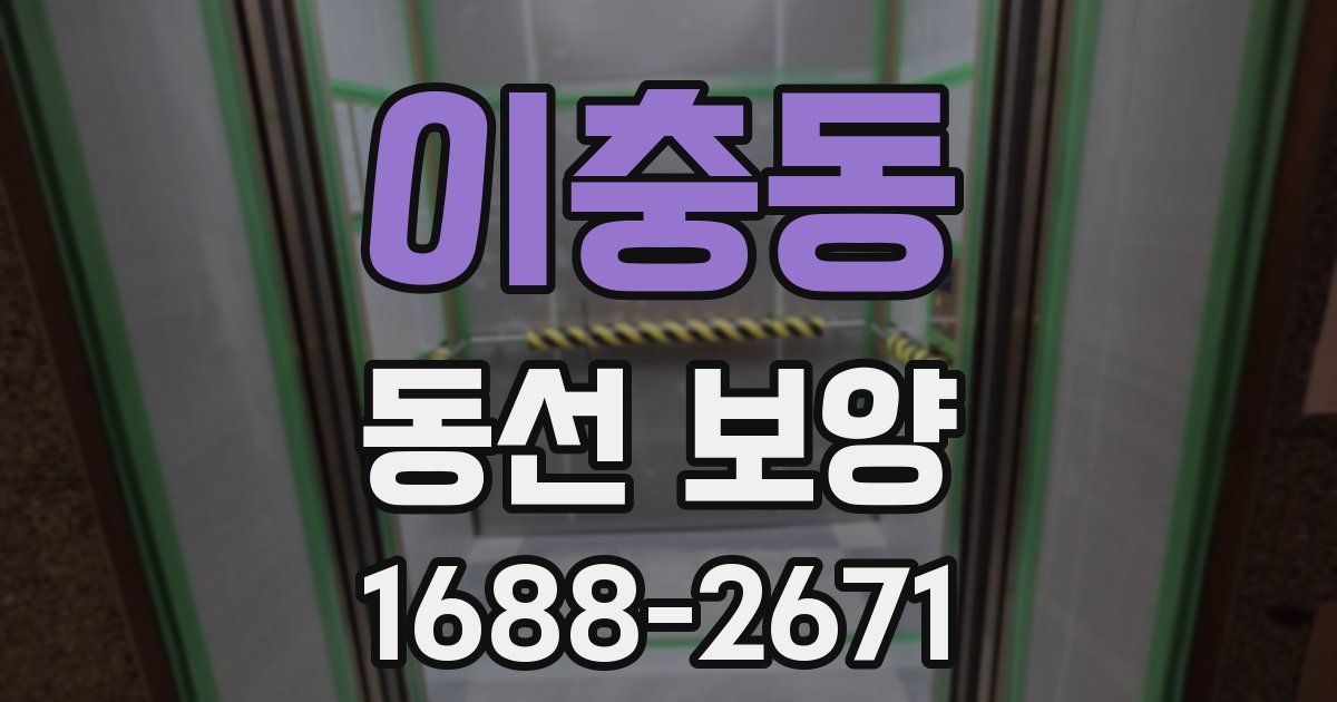 이충동 동선 보양