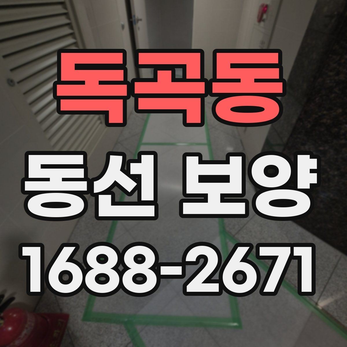 독곡동 동선 보양 적용 사례를 통해 보는 차이