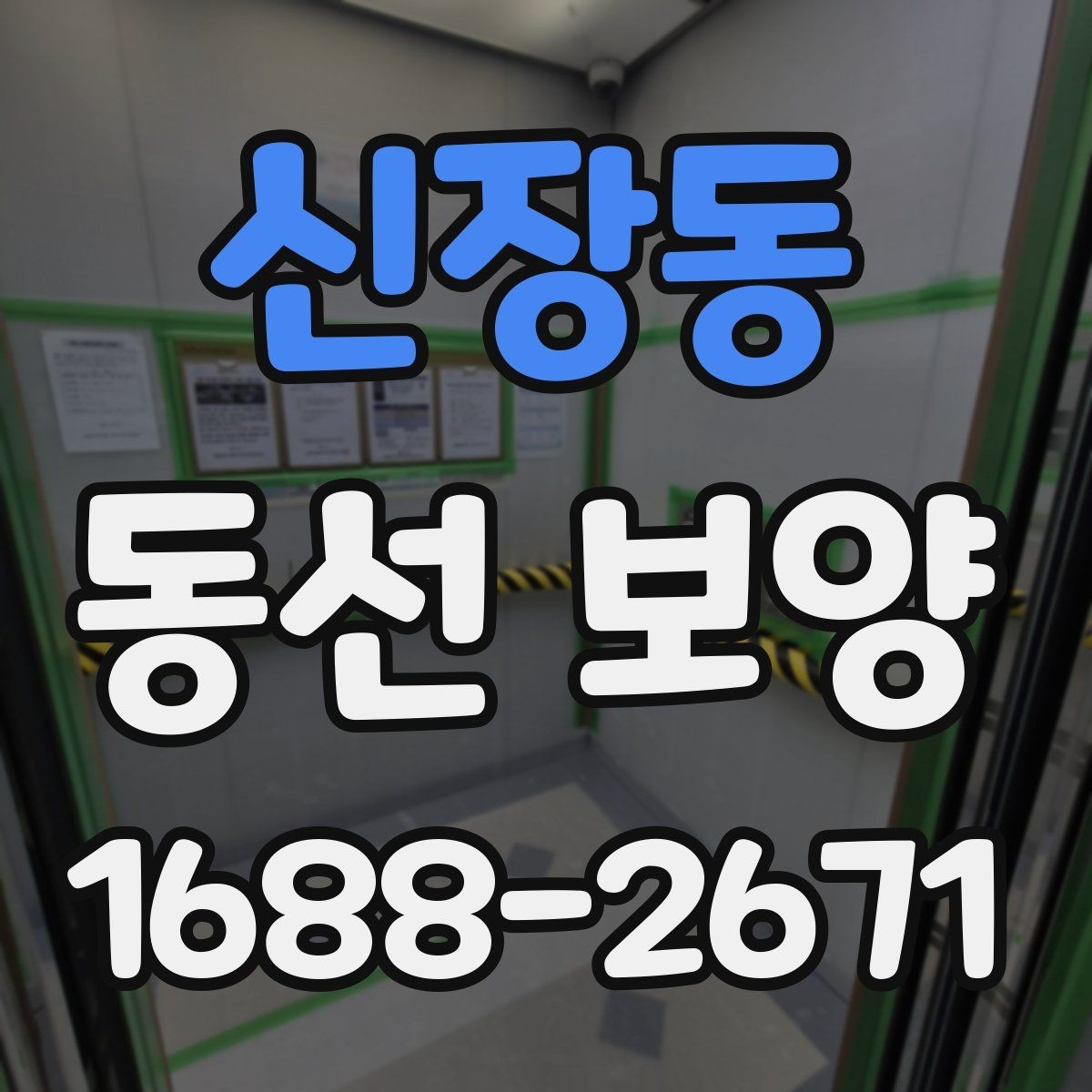 신장동 동선 보양 작업 순서와 준비 단계