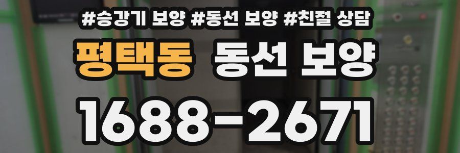 평택동 동선 보양