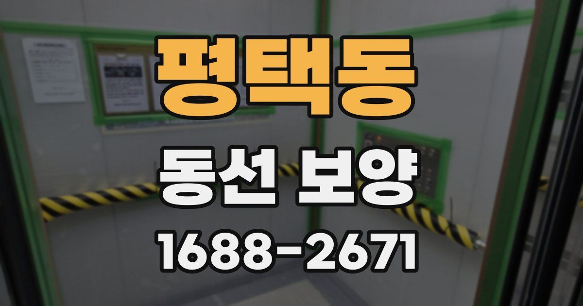 평택동 동선 보양