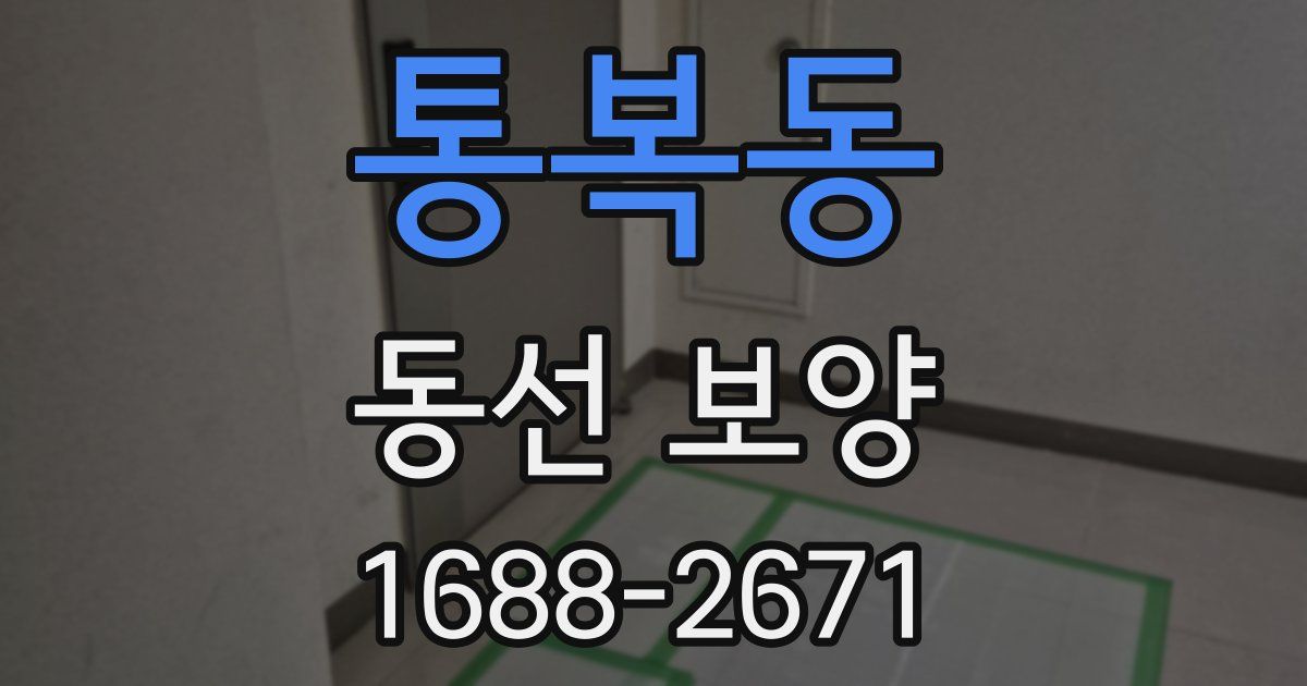 통복동 동선 보양