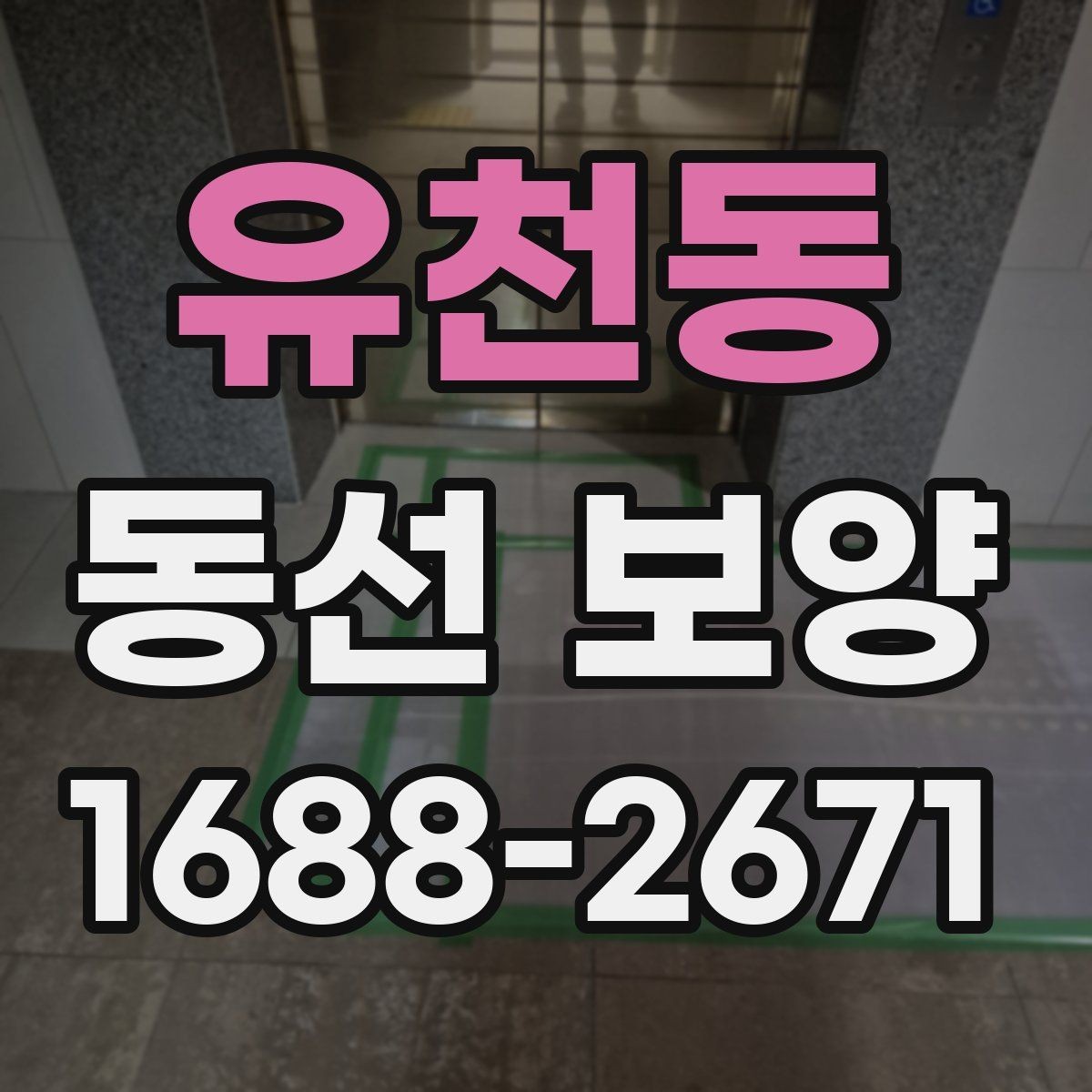 유천동 동선 보양 작업 후 관리 방법 안내