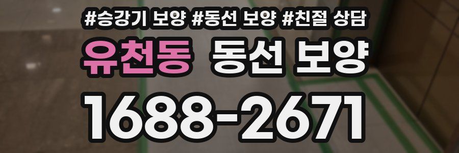 유천동 동선 보양