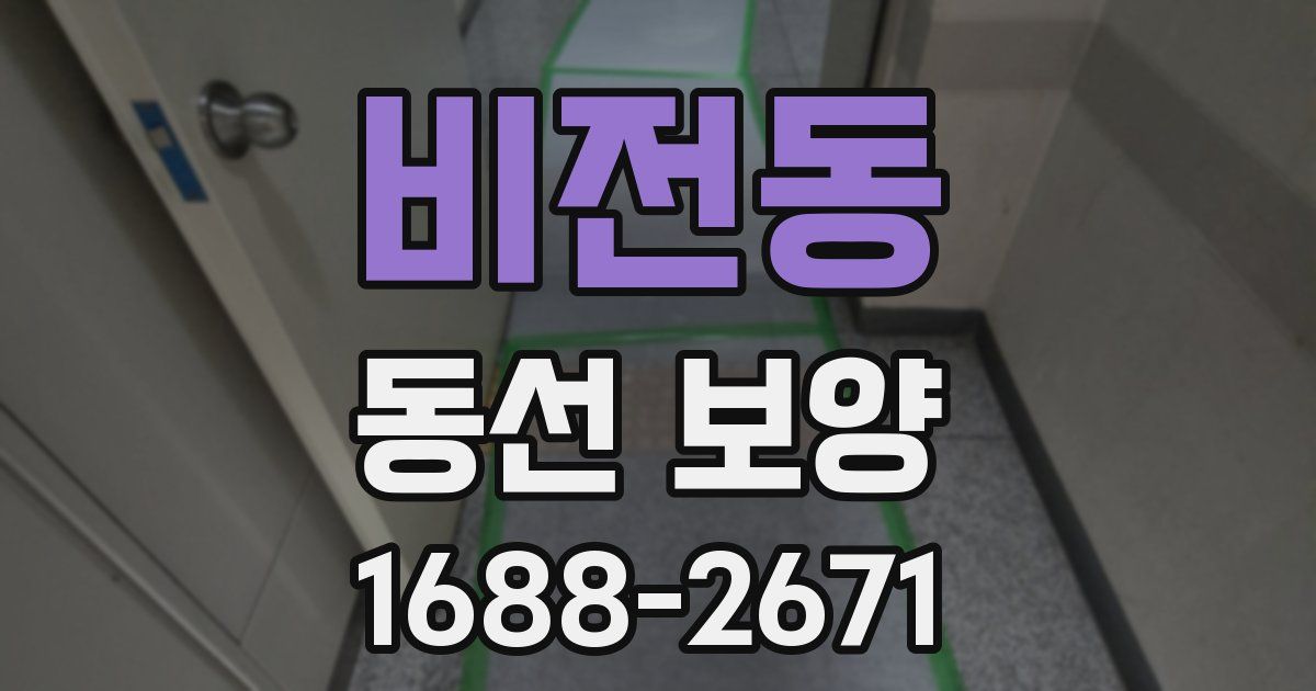 비전동 동선 보양