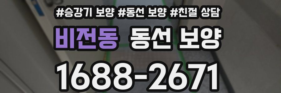 비전동 동선 보양