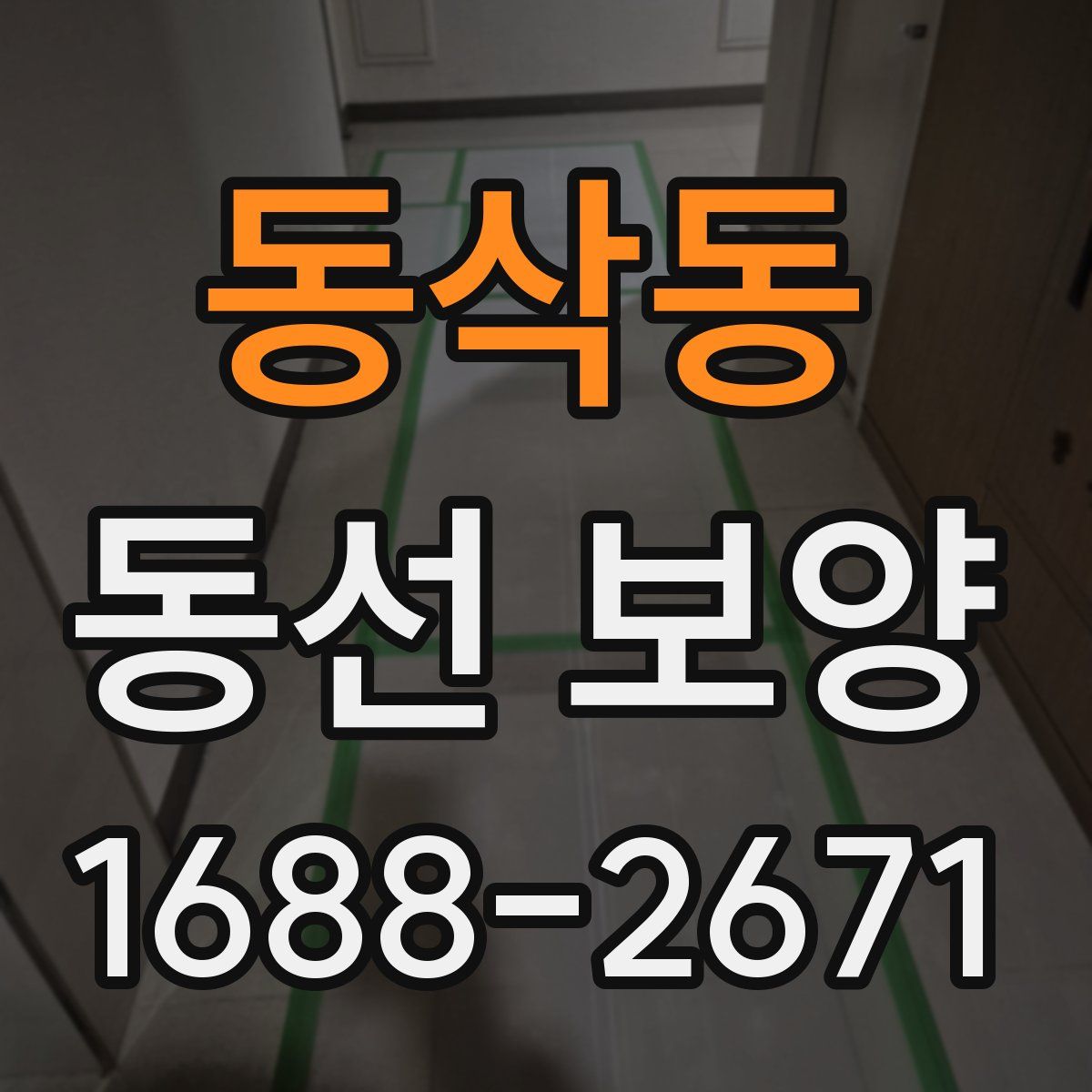 동삭동 동선 보양