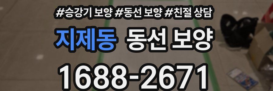 지제동 동선 보양