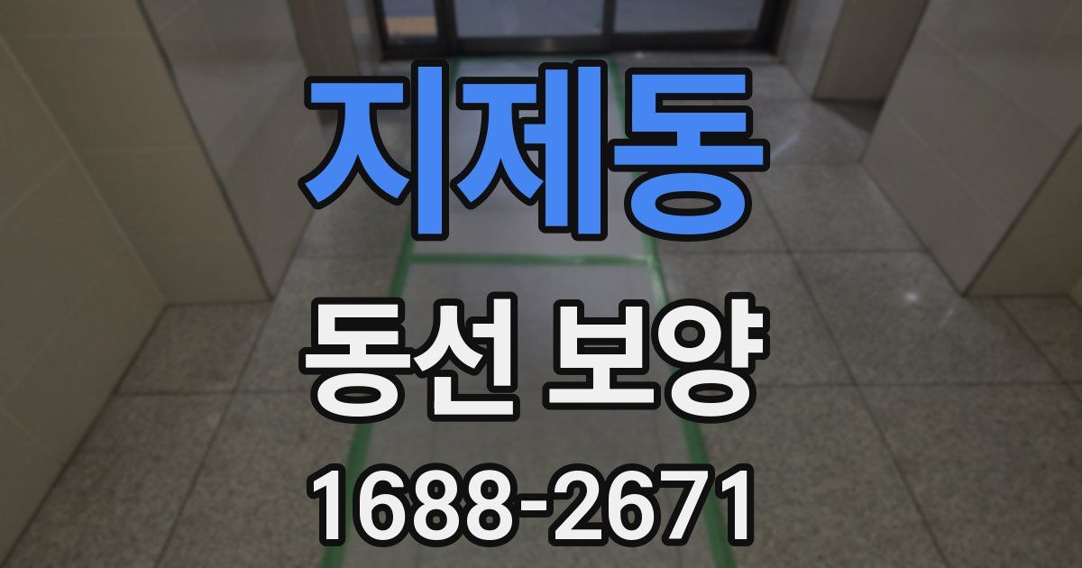 지제동 동선 보양