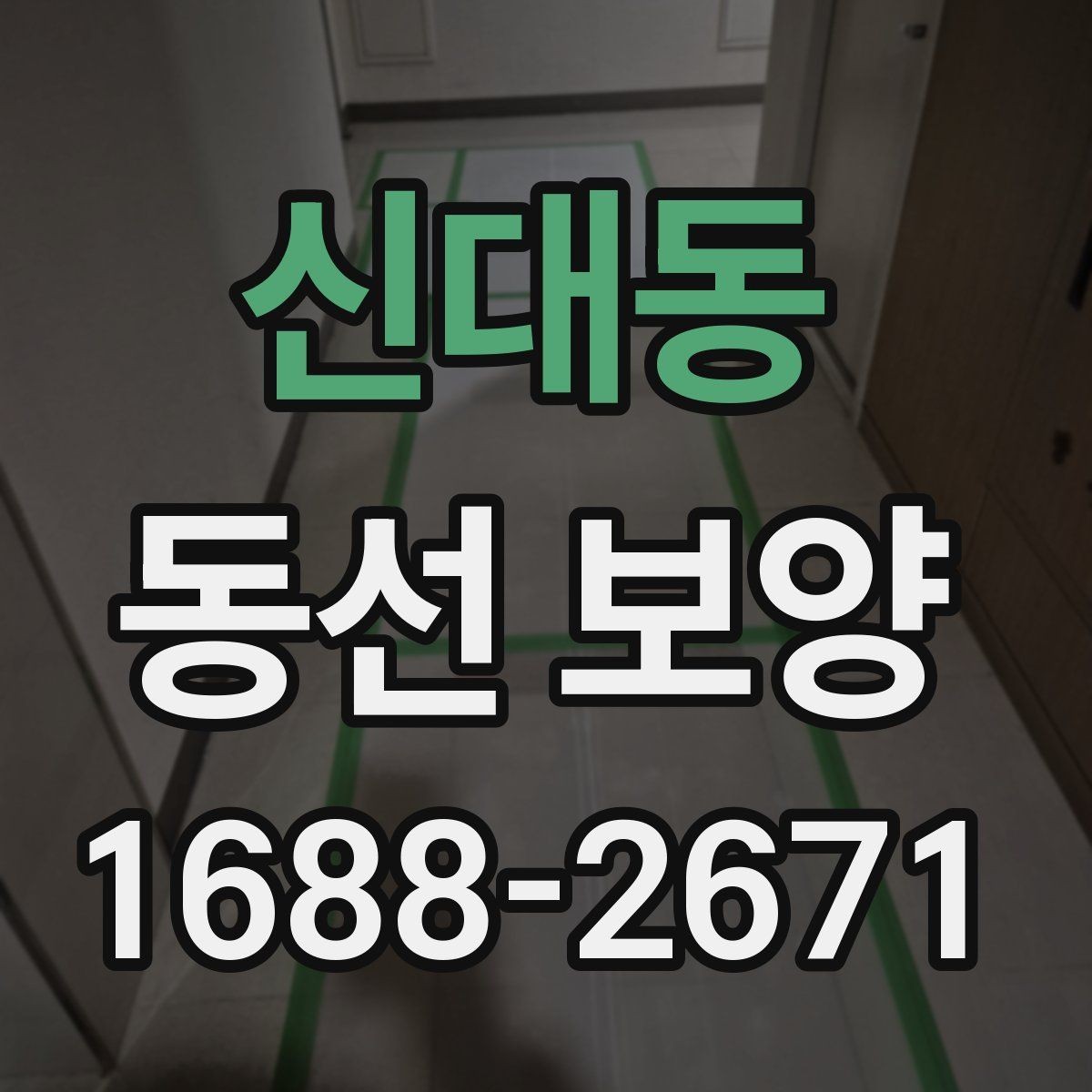 신대동 동선 보양 계획을 세울 때 고려할 요소