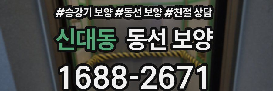 신대동 동선 보양